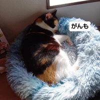 画像2221