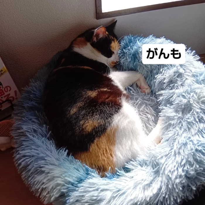 画像2221