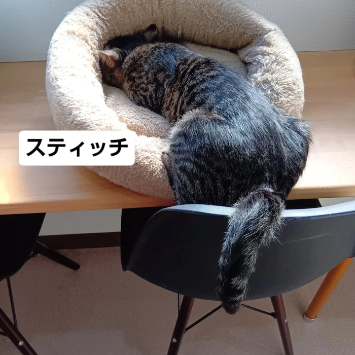 画像2222