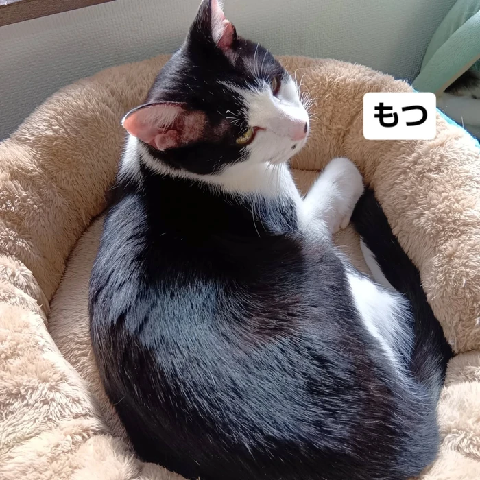 画像2224