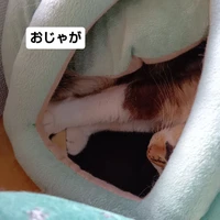 画像2225