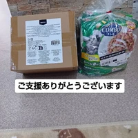 画像2237