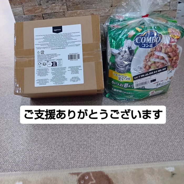 画像2237