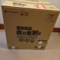 画像2239