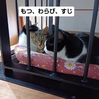 画像2242