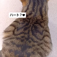 画像2262