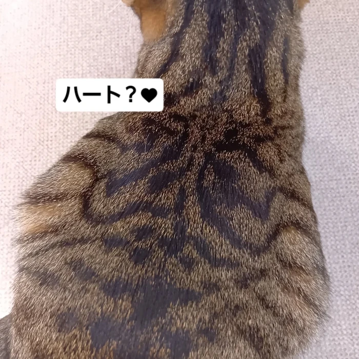 画像2262