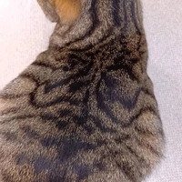 画像2263