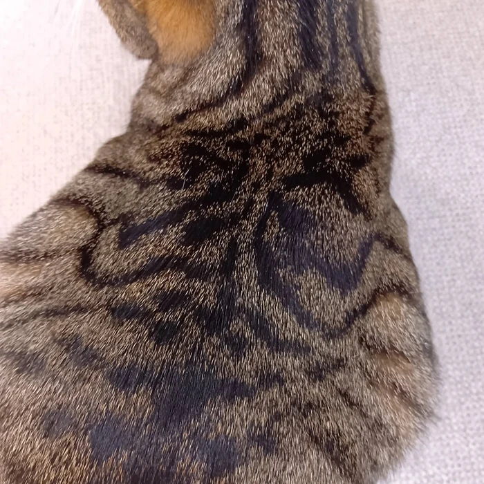 画像2263