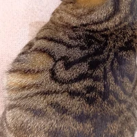 画像2264