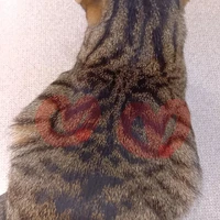 画像2265