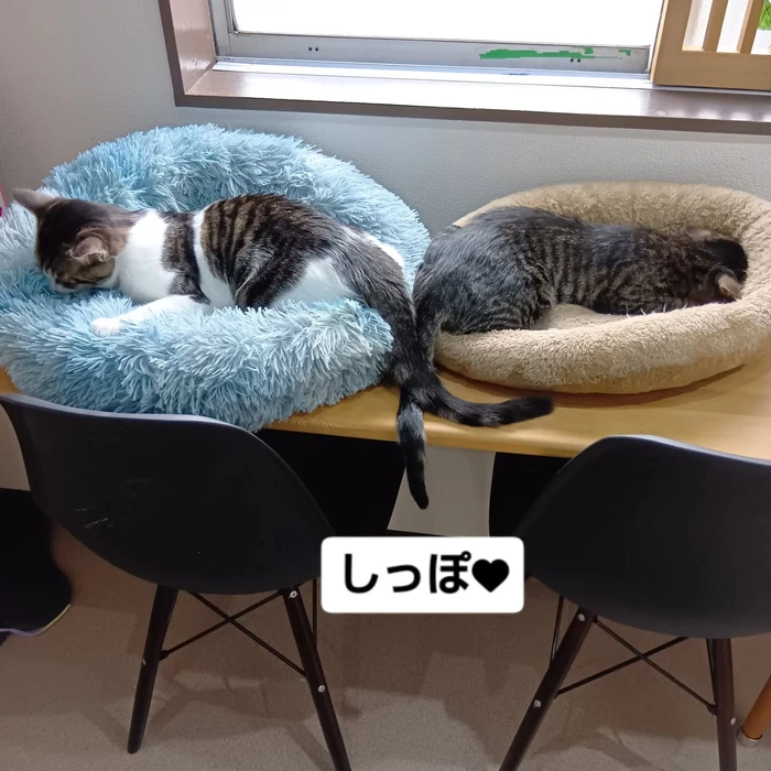 画像2269