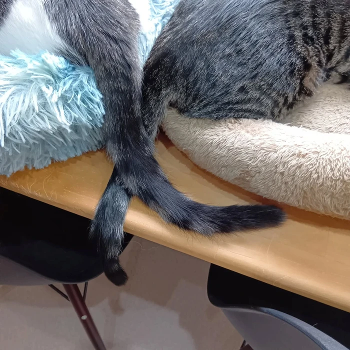 画像2270