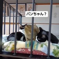 画像2272