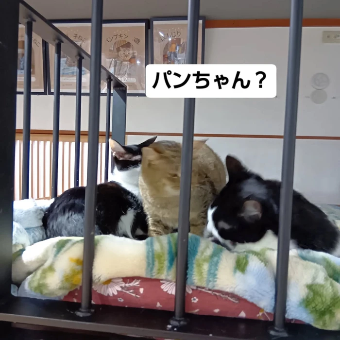 画像2272