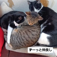 画像2277