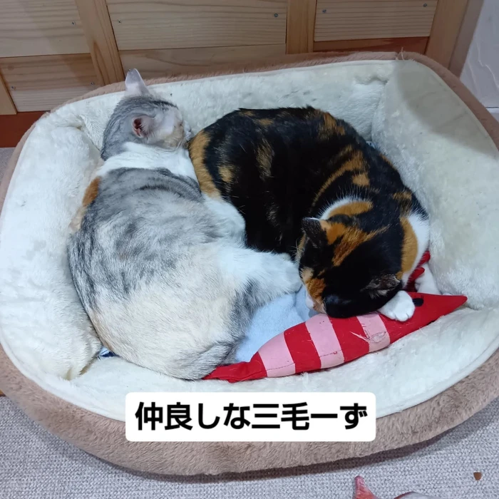 画像2281
