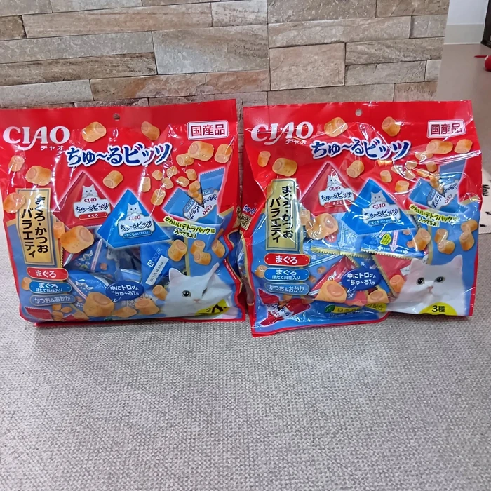 画像2294