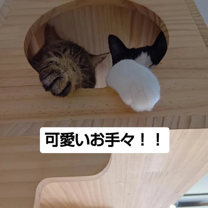画像2302