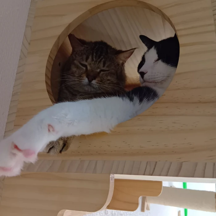 画像2305