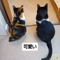 画像2313