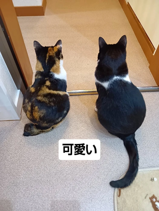 画像2313