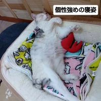 画像2317