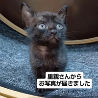 画像2329