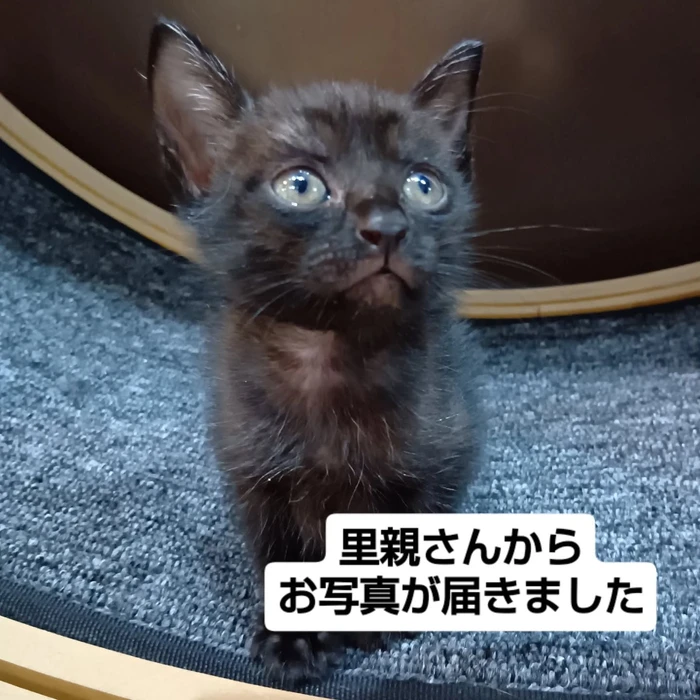 画像2329