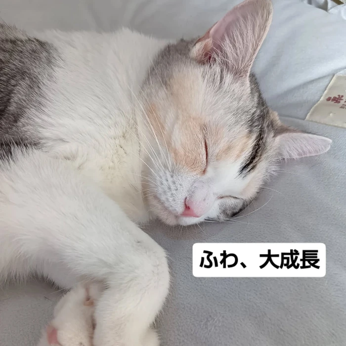 画像2350