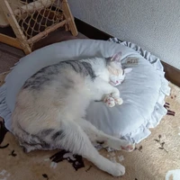 画像2352