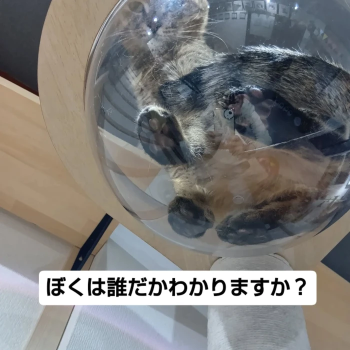 画像2364