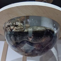 画像2366
