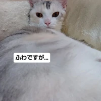 画像2377