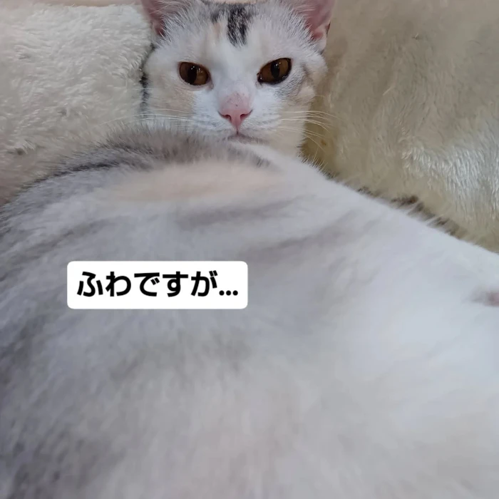 画像2377