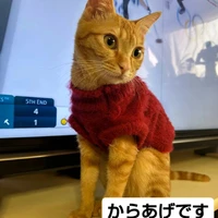 画像2382