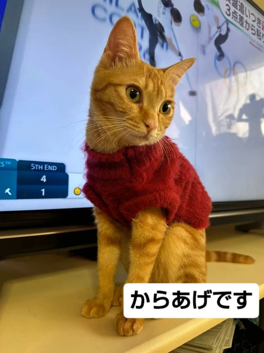 画像2382