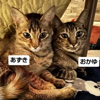 画像2396