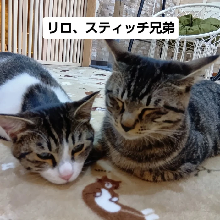 画像2402