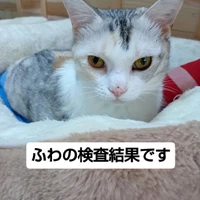 画像2409