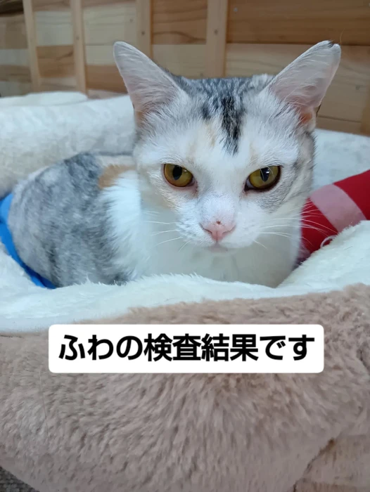 画像2409