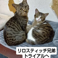 画像2414