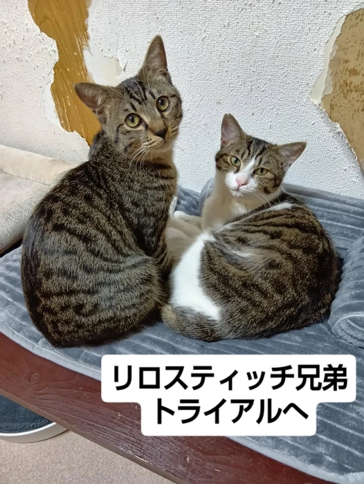 画像2414