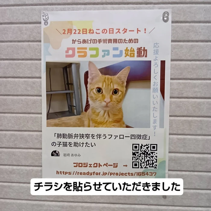 画像2416
