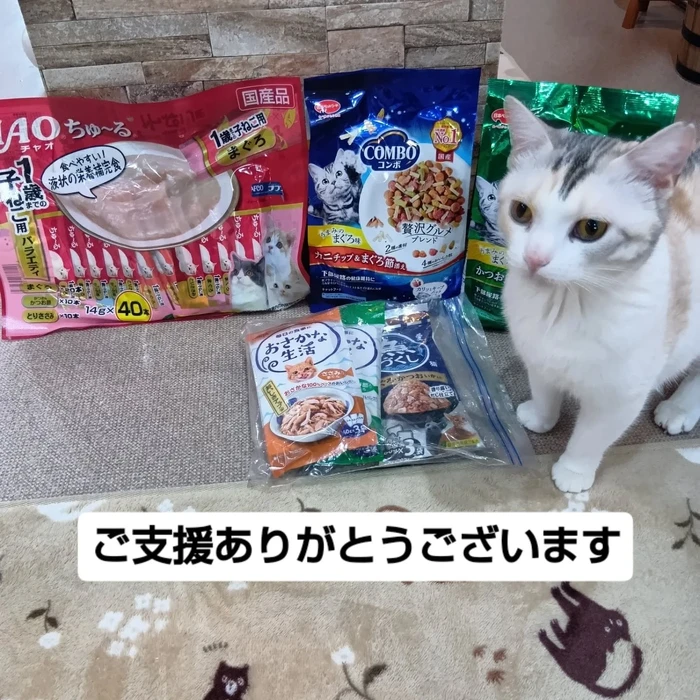 画像2427