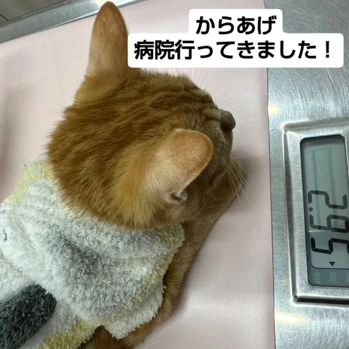 画像2433