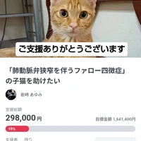 画像2434