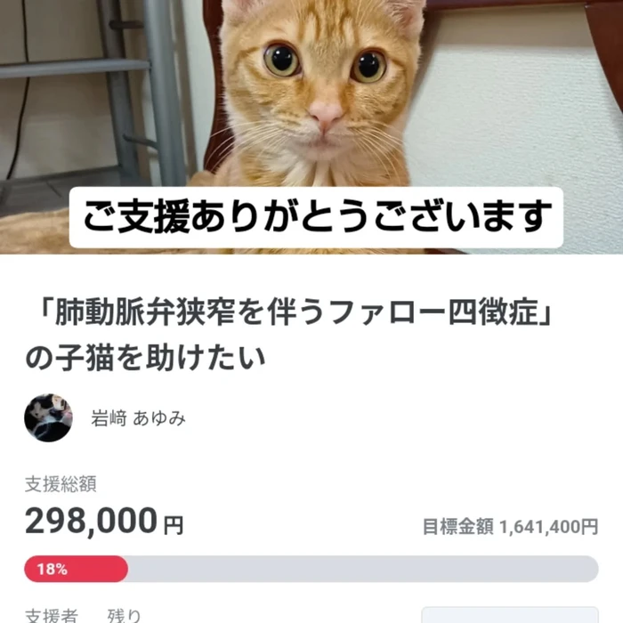 画像2434