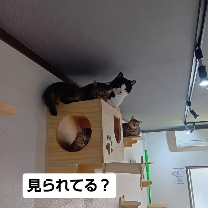 画像2440
