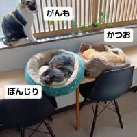 画像2445